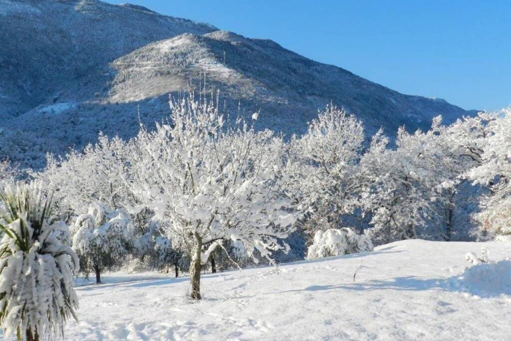 2P Au Coeur Des Montagnes Avec Piscine Chauffee Daire Puget-Théniers Dış mekan fotoğraf